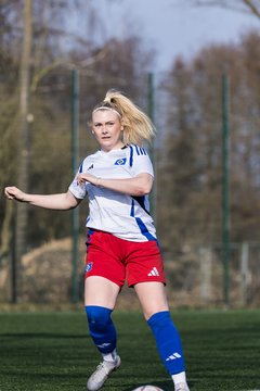 Bild 163 - F Hamburger SV 3 - Blau-Weiss 96 : Ergebnis: 5:1